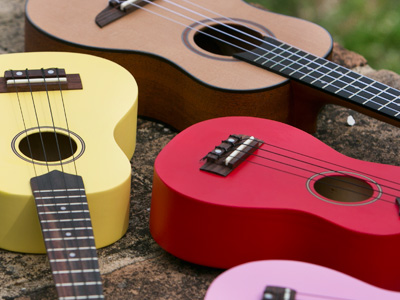 Eko Guitars | Acoustic Guitars