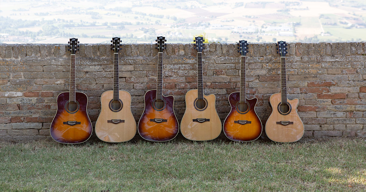 pauze roterend variabel Eko Guitars | ONE Series