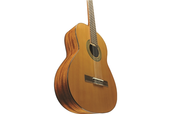 Eko Guitars - Vibra 200 Natural