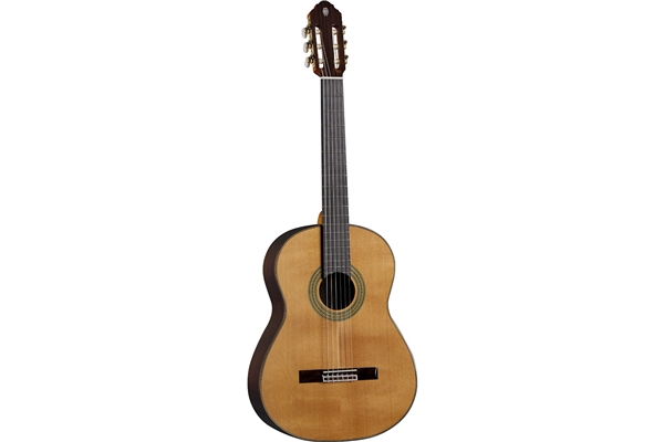 Eko Guitars - Vibra 500 Mario Gangi