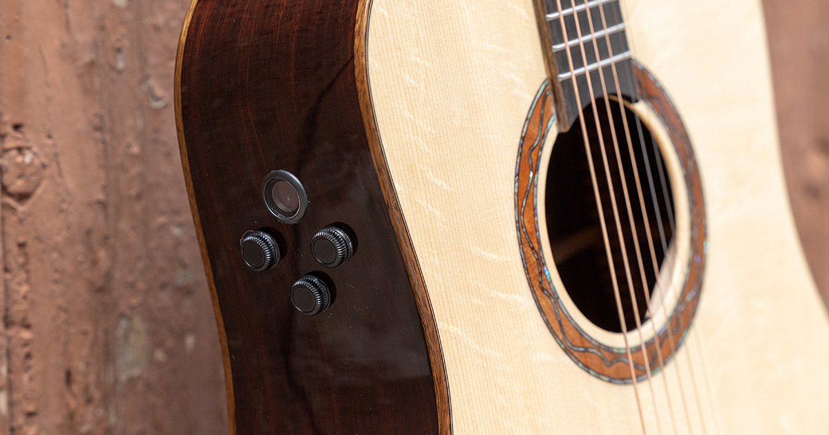 The acoustic guitars of "WOW" series by Eko Guitars are preamplified with Fishman Flex Blend system