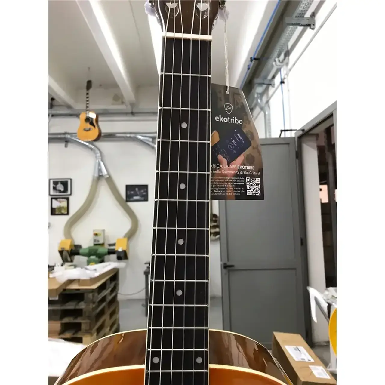 16-eko-guitars-cs-10-plus-06201027_2