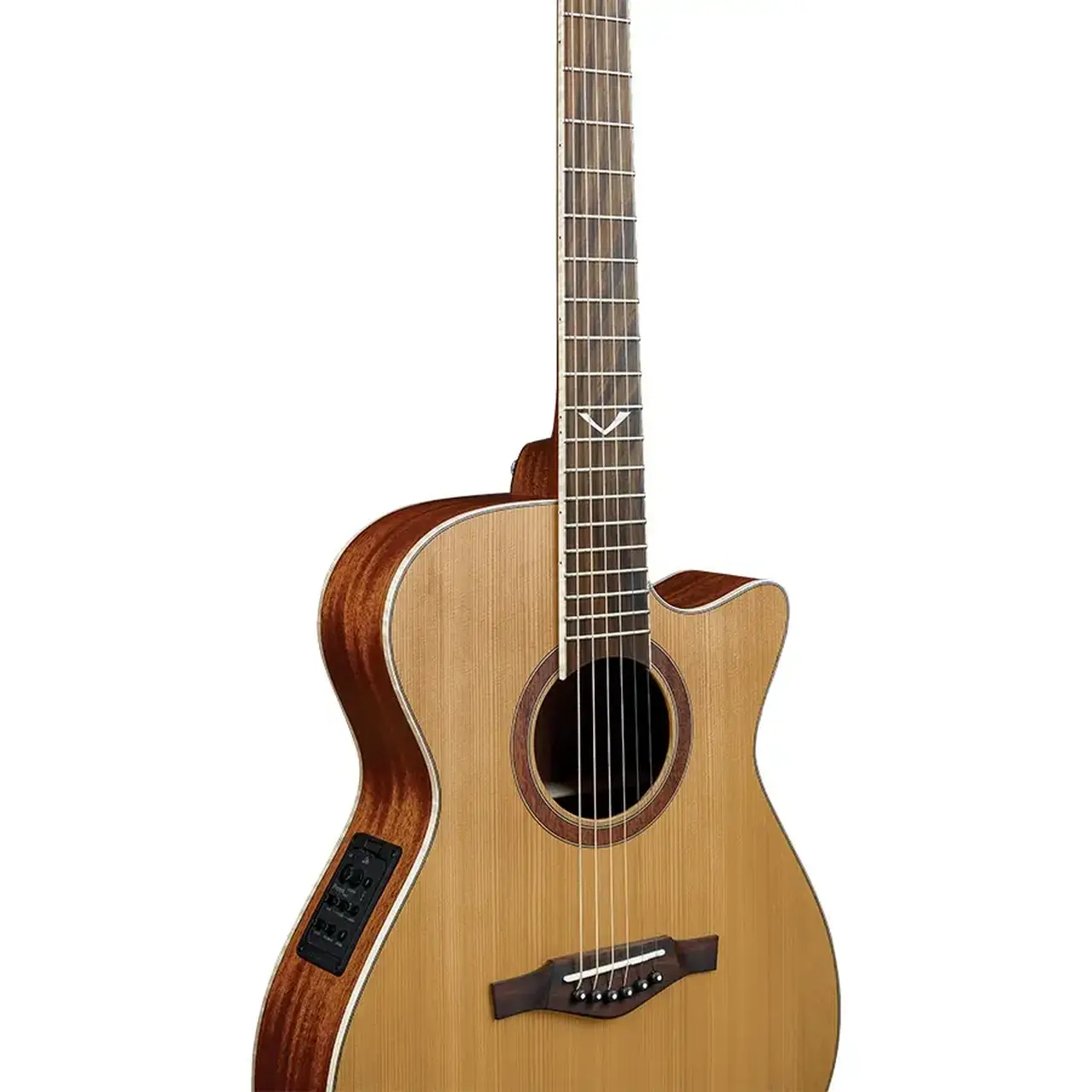 16-eko-guitars-evo-a350ce-06217260_2