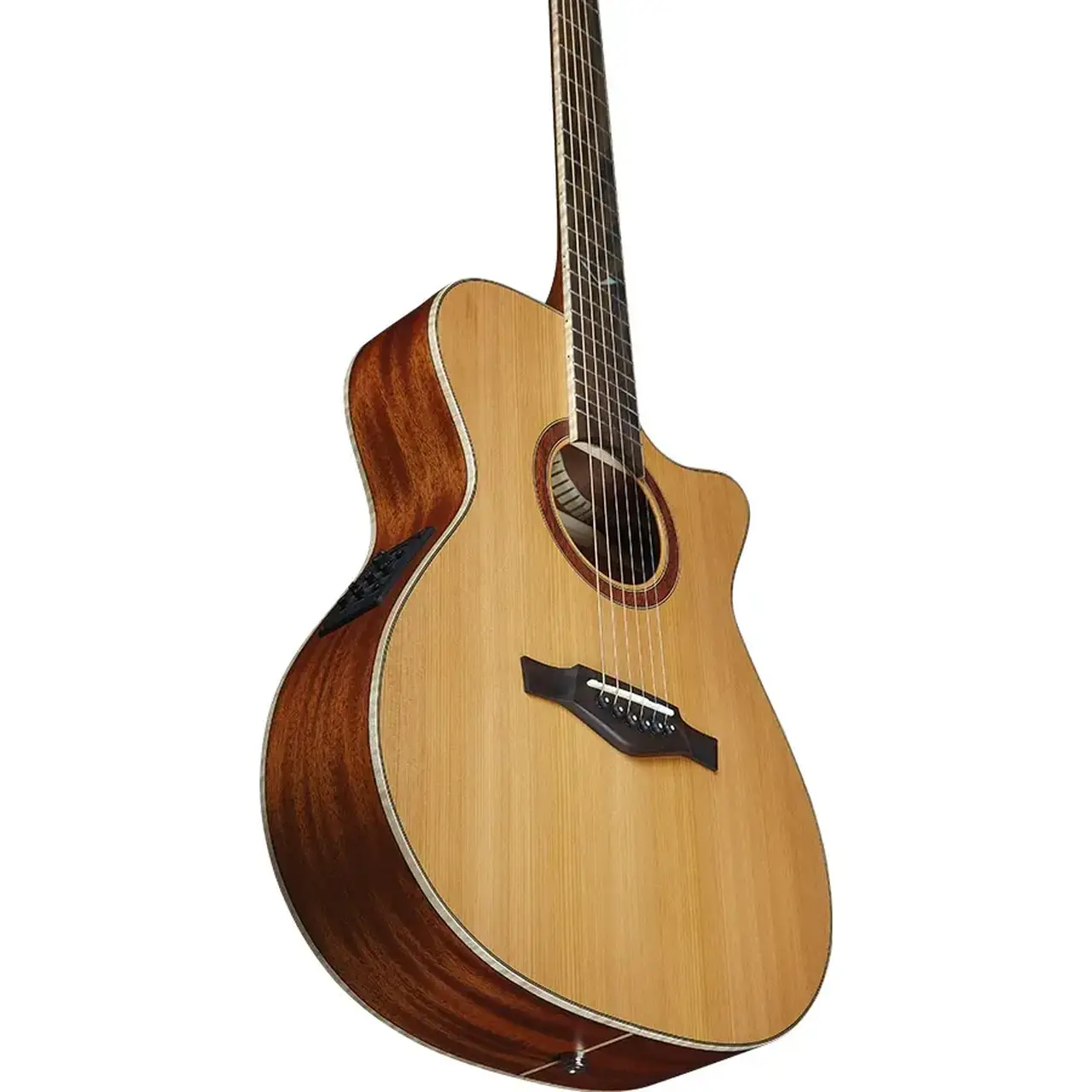 16-eko-guitars-evo-a350ce-06217260_3