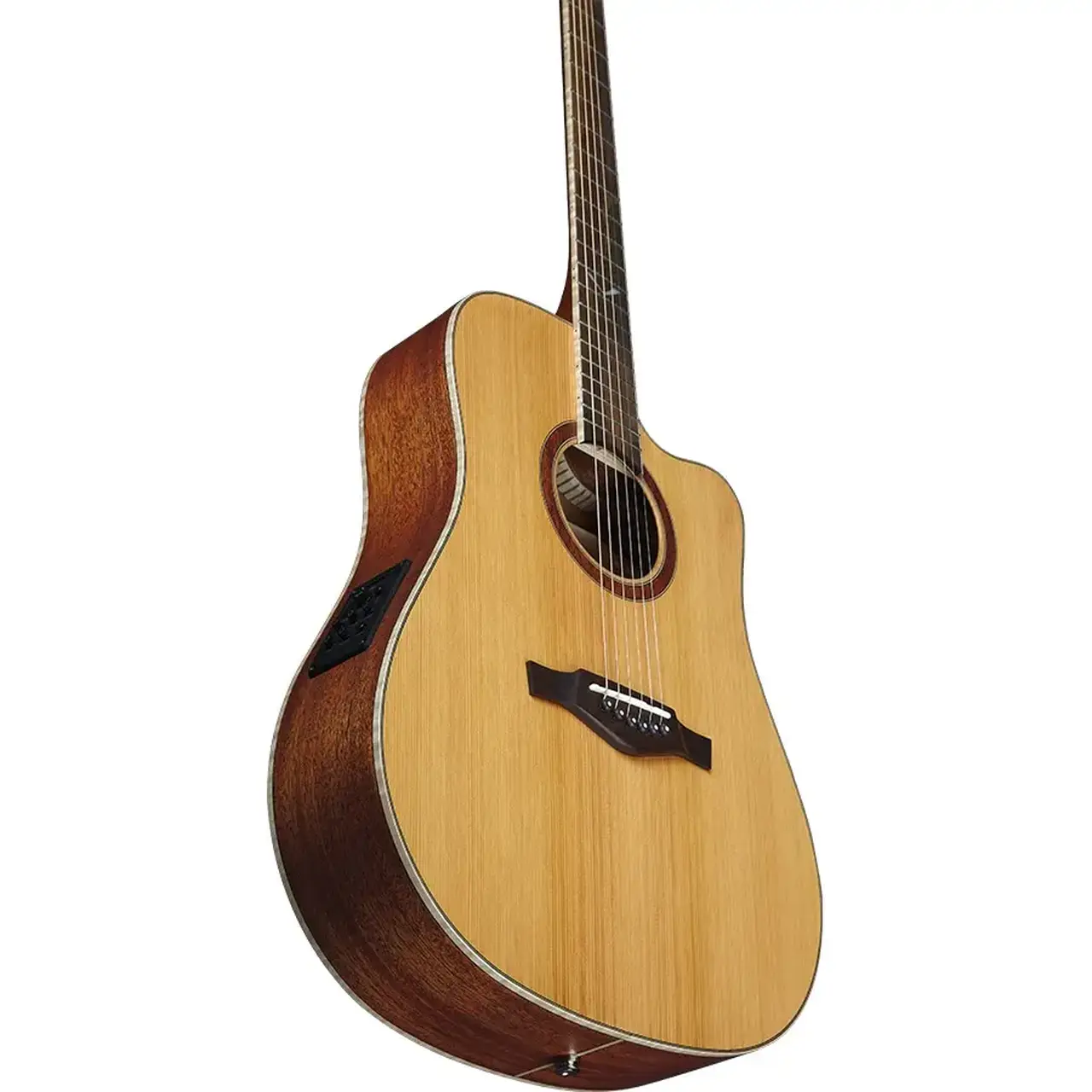 16-eko-guitars-evo-d350ce-06217261_3