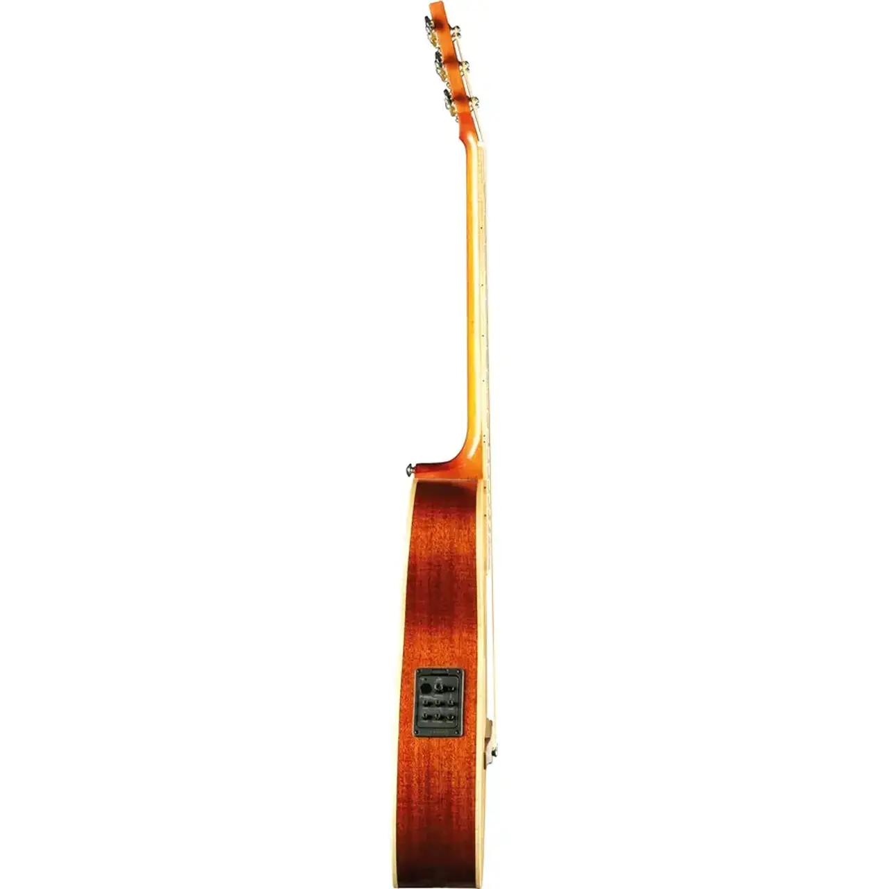 16-eko-guitars-evo-iii-baritone-blend-eq-06217238_2