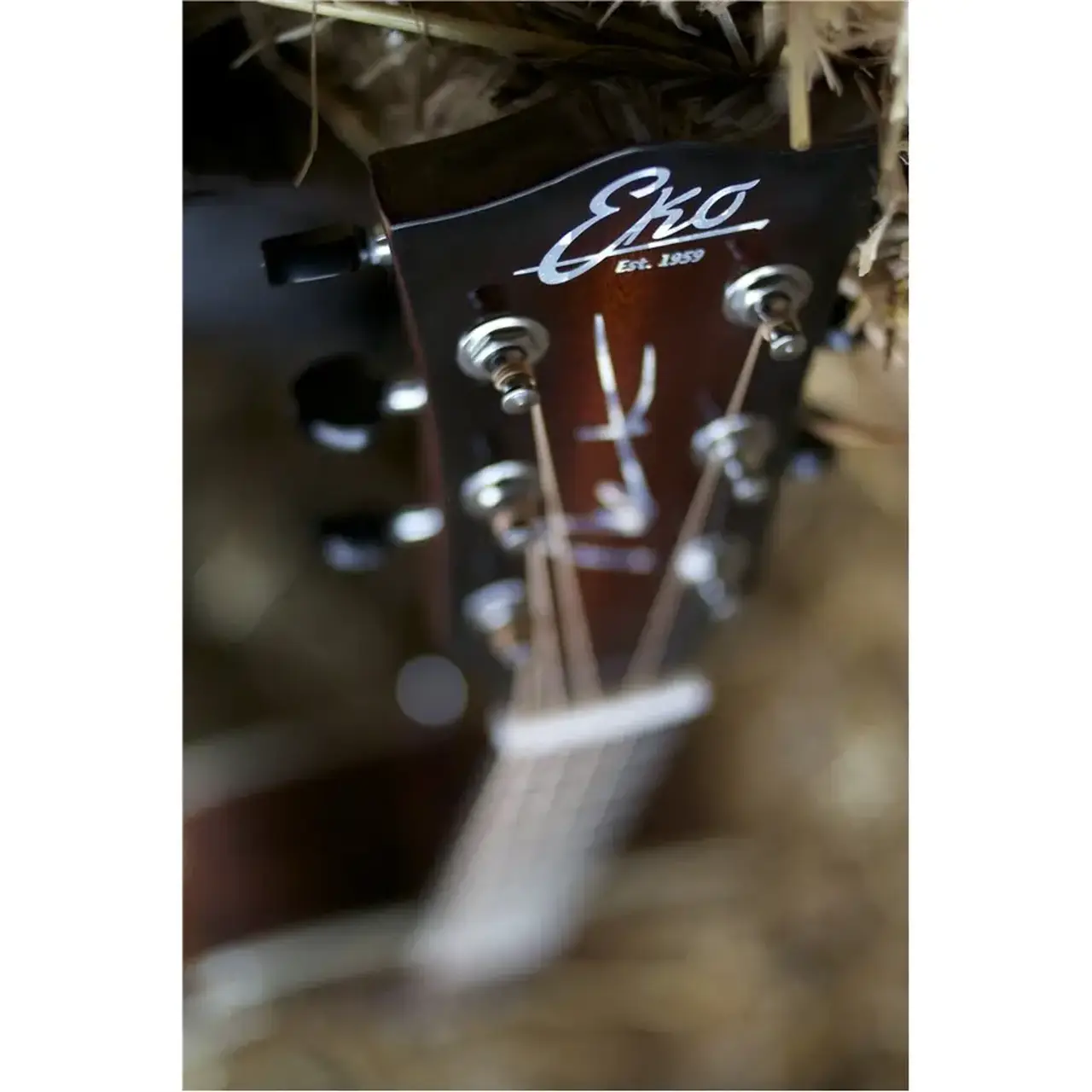 16-eko-guitars-nek-signature-06217088_3