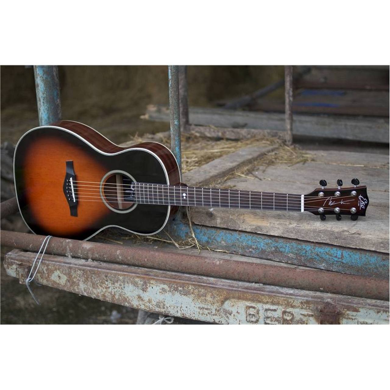 16-eko-guitars-nek-signature-06217088_4