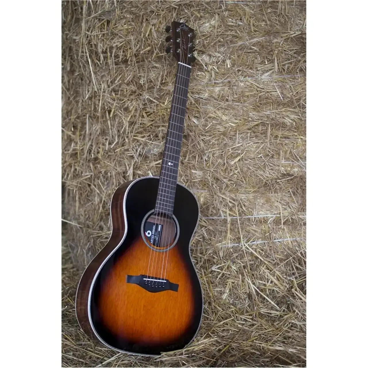 16-eko-guitars-nek-signature-eq-sonitone-06217144_0