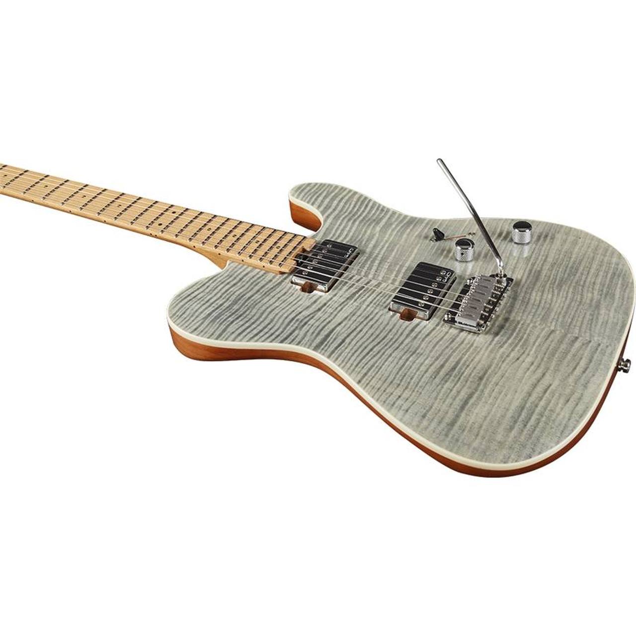 16-eko-guitars-tero-801-musa-grey-flamed-05134071_2