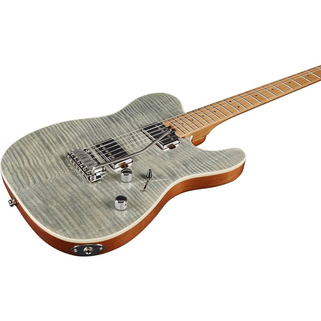 16-eko-guitars-tero-801-musa-grey-flamed-05134071_3