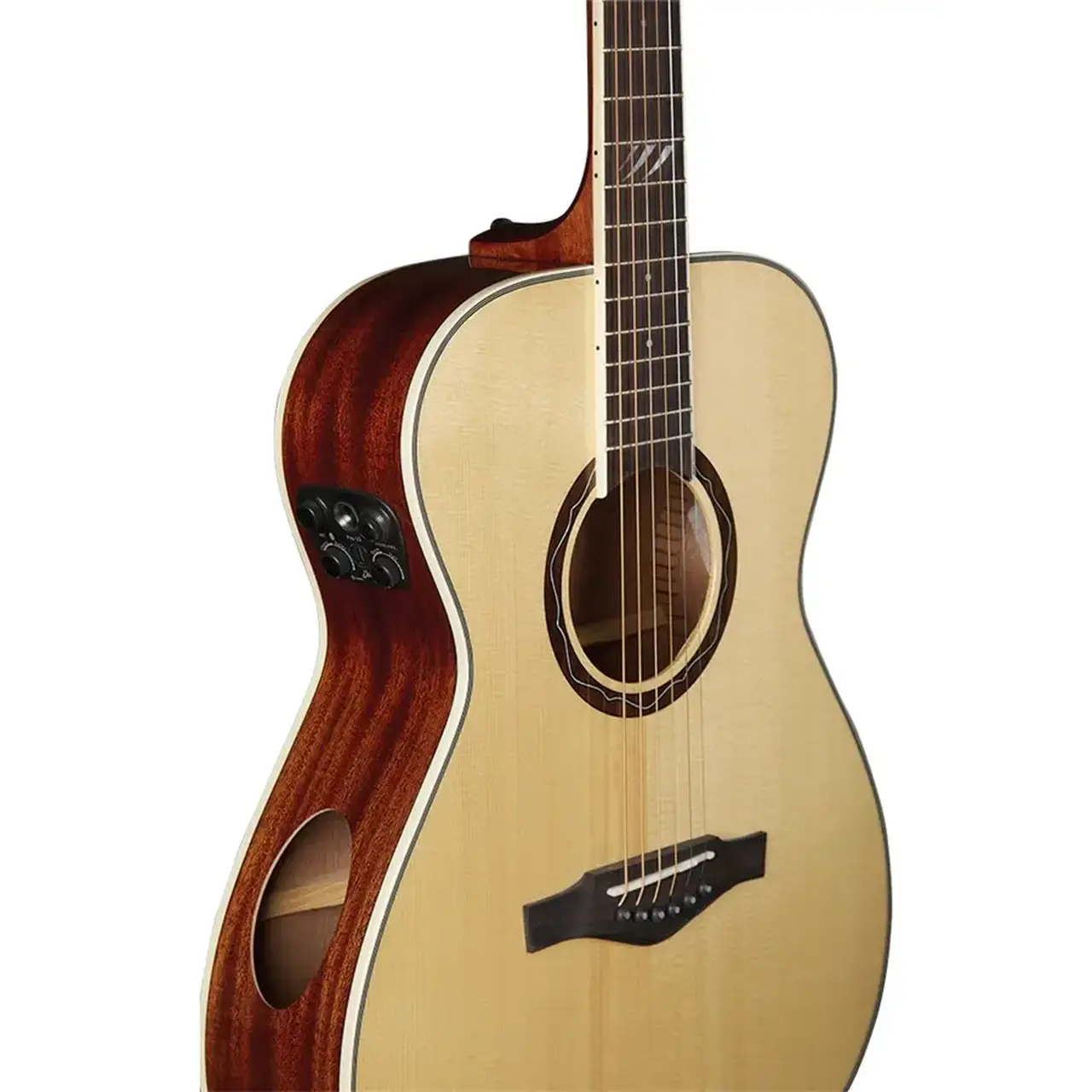 16-eko-guitars-tri-a300e-05134081_2