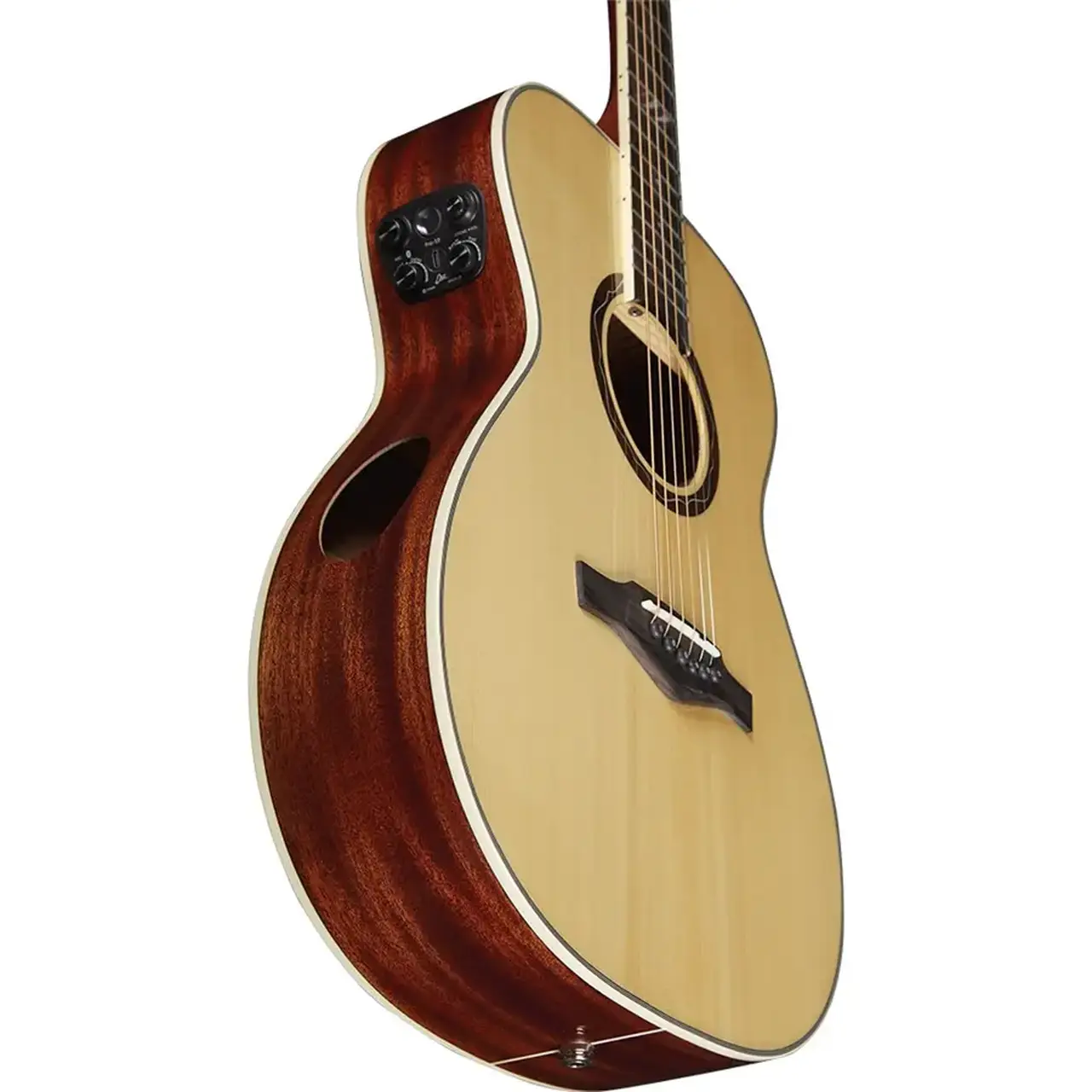 16-eko-guitars-tri-a300e-05134081_3