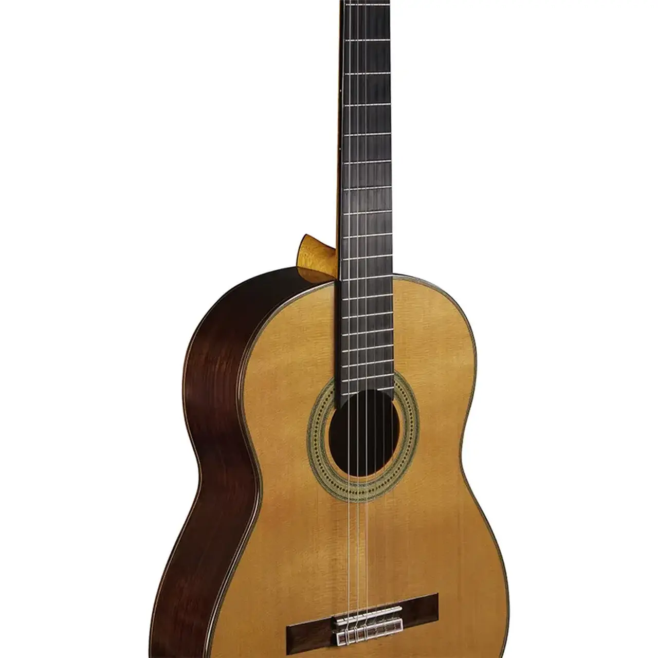 16-eko-guitars-vibra-500-mario-gangi-06204136_2