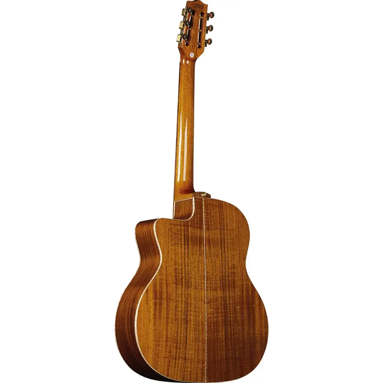 eko-guitars-alps-g450c-gipsy-06217162-1