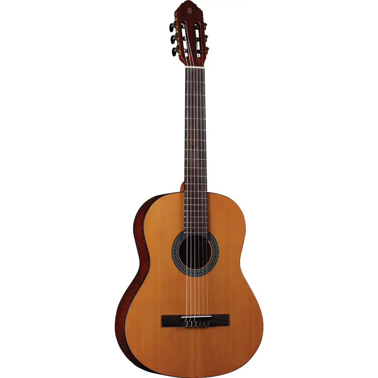 eko-guitars-vibra-100-satin-06130123-0