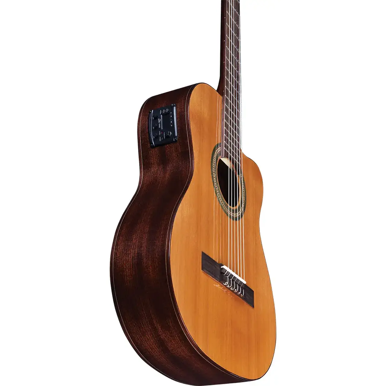 eko-guitars-vibra-200-eq-06130132-2