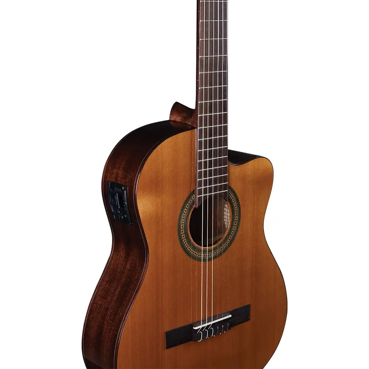 eko-guitars-vibra-200-eq-06130132-3