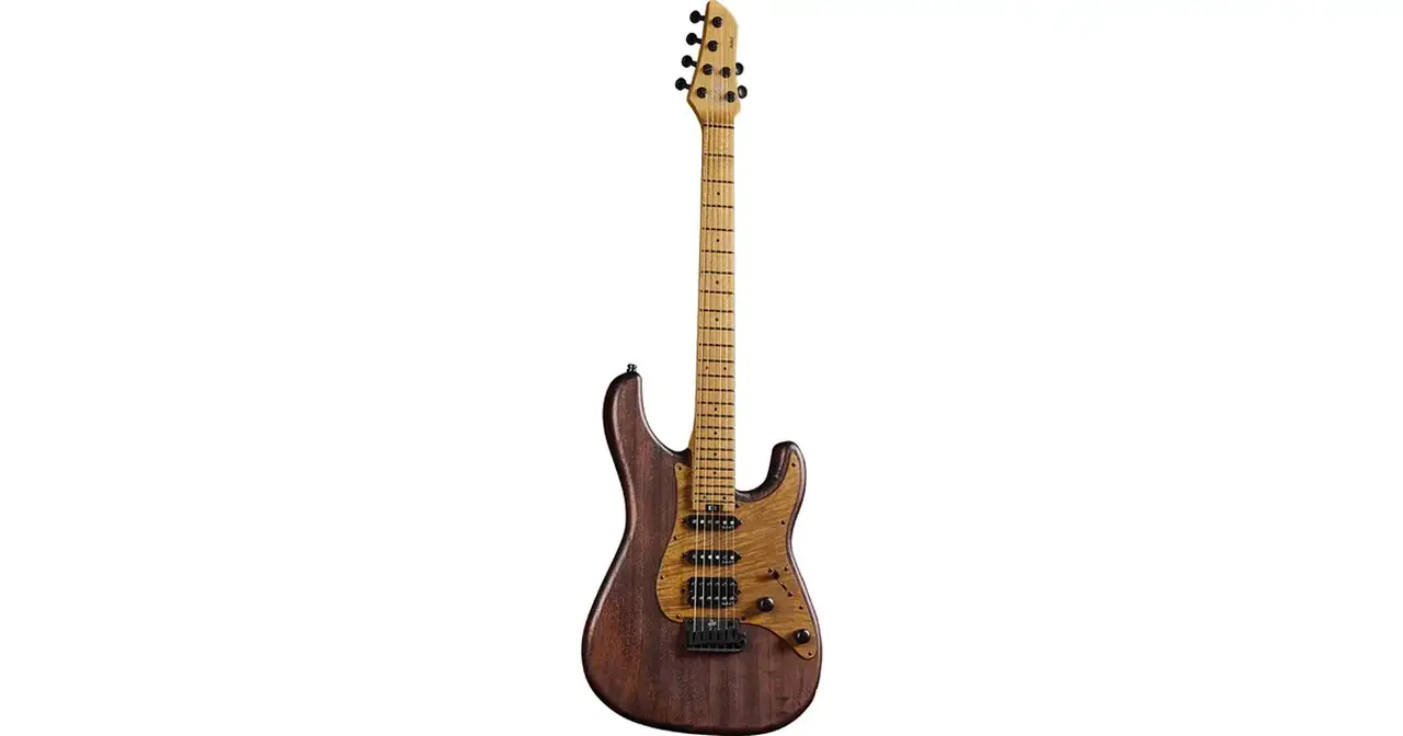 f_16-eko-guitars-aire-701-wildwood-05134065_0