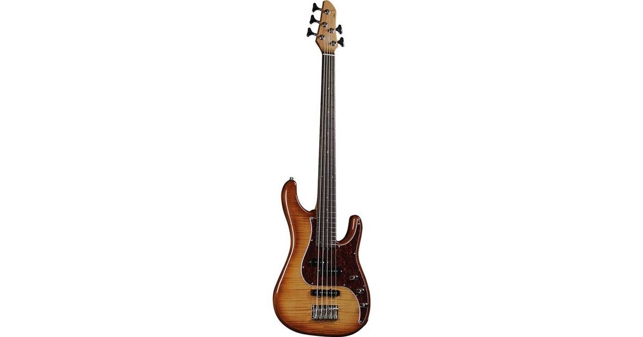 f_16-eko-guitars-aire-800-5-musa-bass-honey-burst-05134075_0