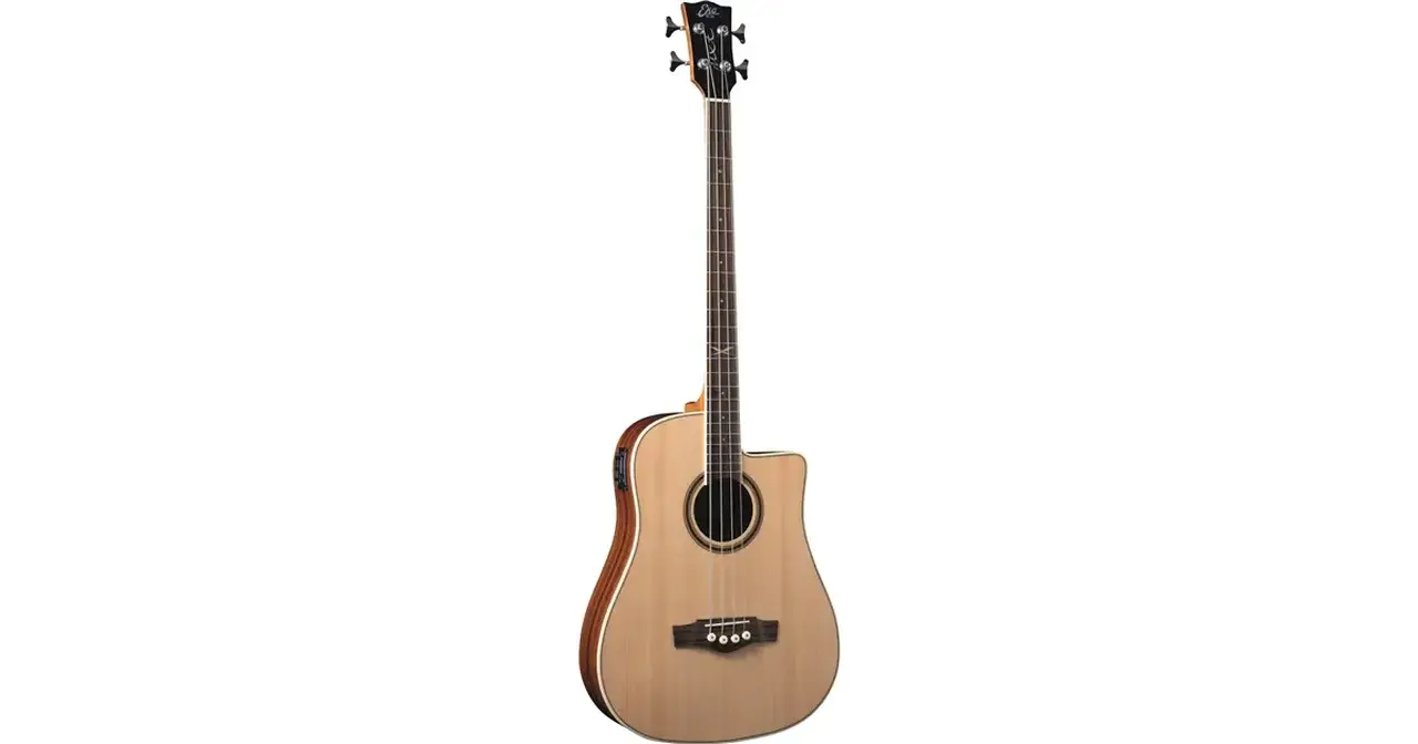 f_16-eko-guitars-nxt-bass-b100ce-natural-06217331_0
