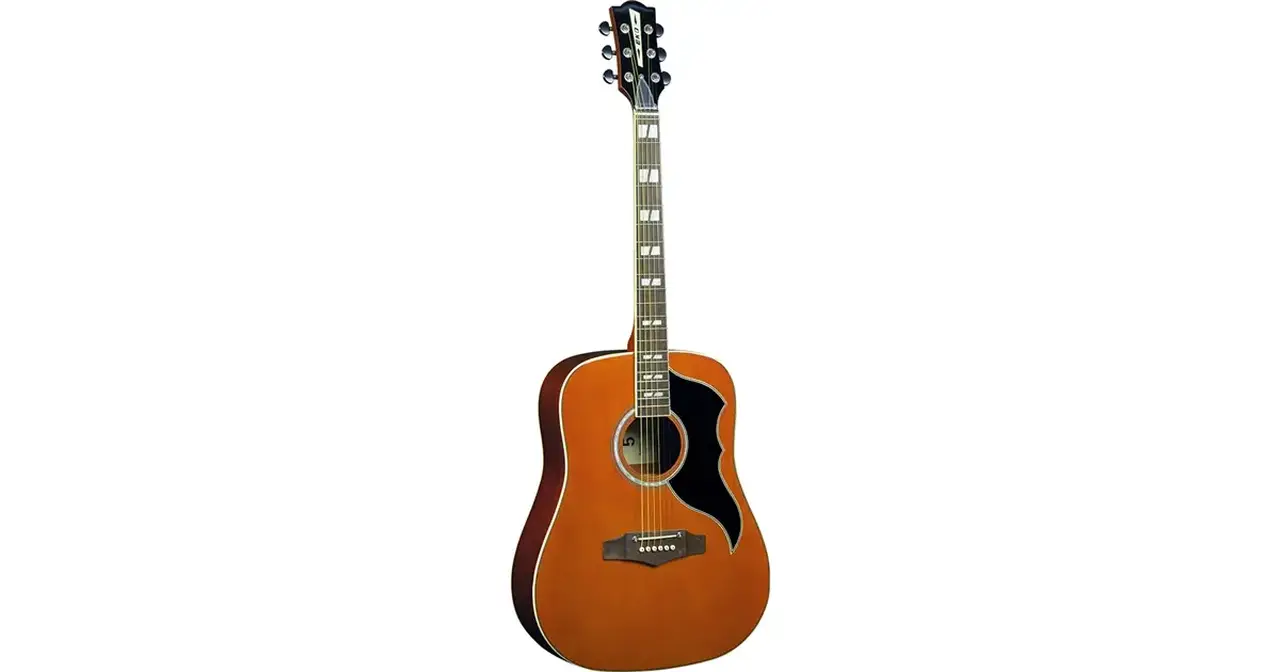 EKO Ranger VI VR Nat Top Stained EQ 未使用 Eko Guitars Ranger VI VR Eq Natural Top Stained Acoustic Guitar