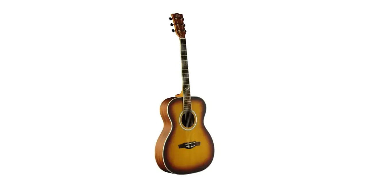 f_16-eko-guitars-tri-018-honey-burst-06217105_0