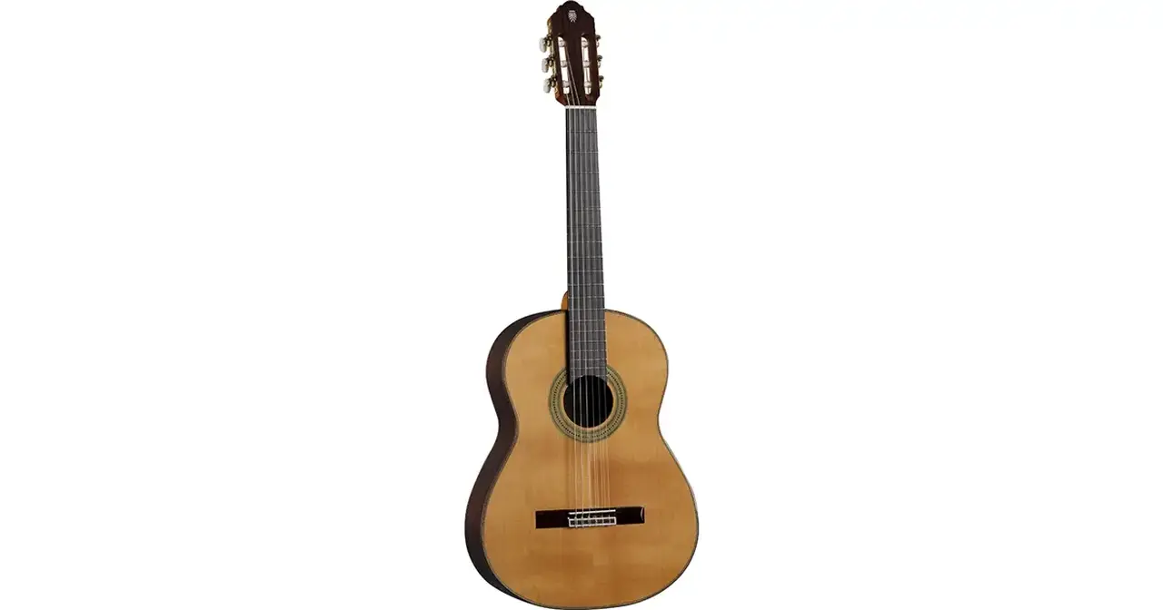 f_16-eko-guitars-vibra-500-mario-gangi-06204136_0