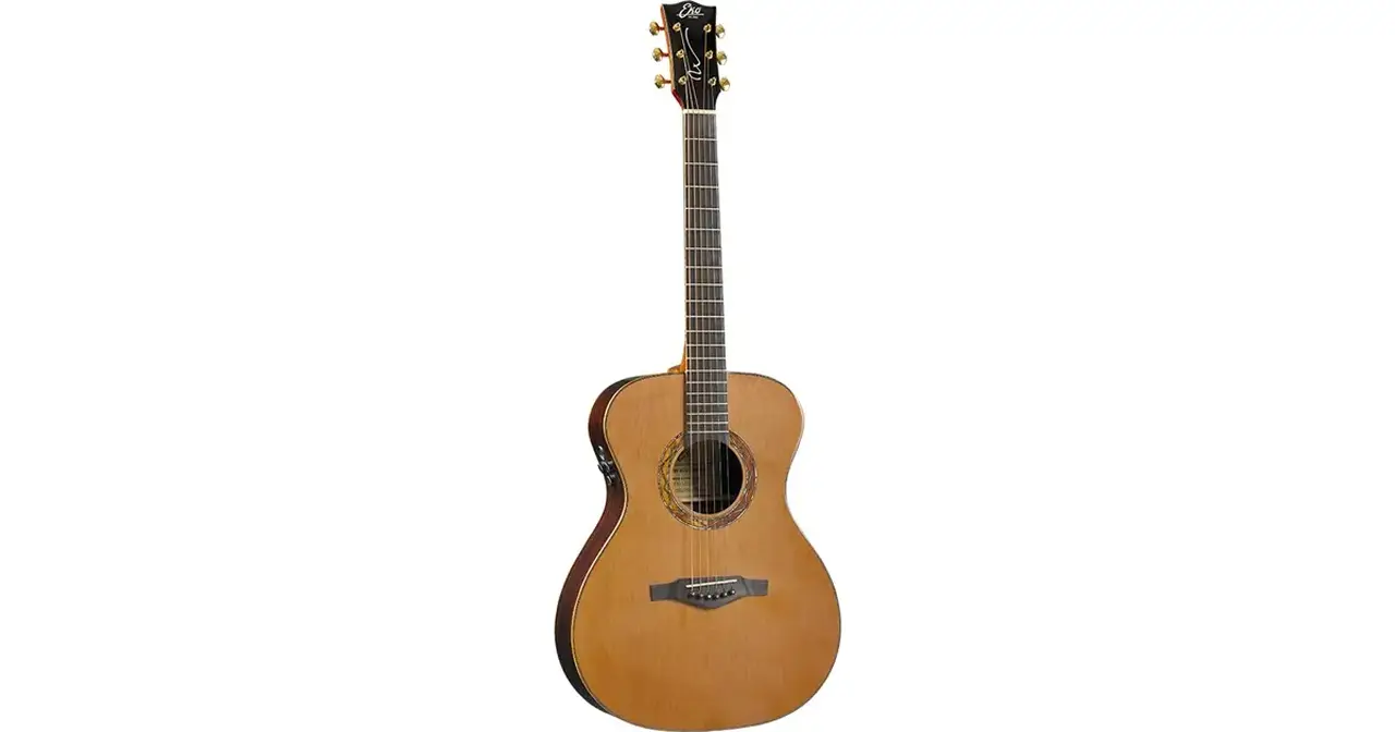 f_16-eko-guitars-wow-a800e-cr-ltd-cedar-rosewood-06217197_0