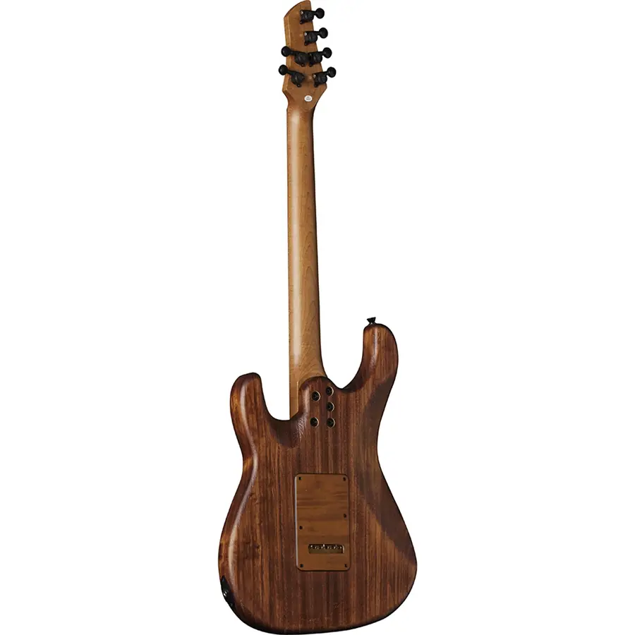 16-eko-guitars-aire-701-wildwood-05134065_1