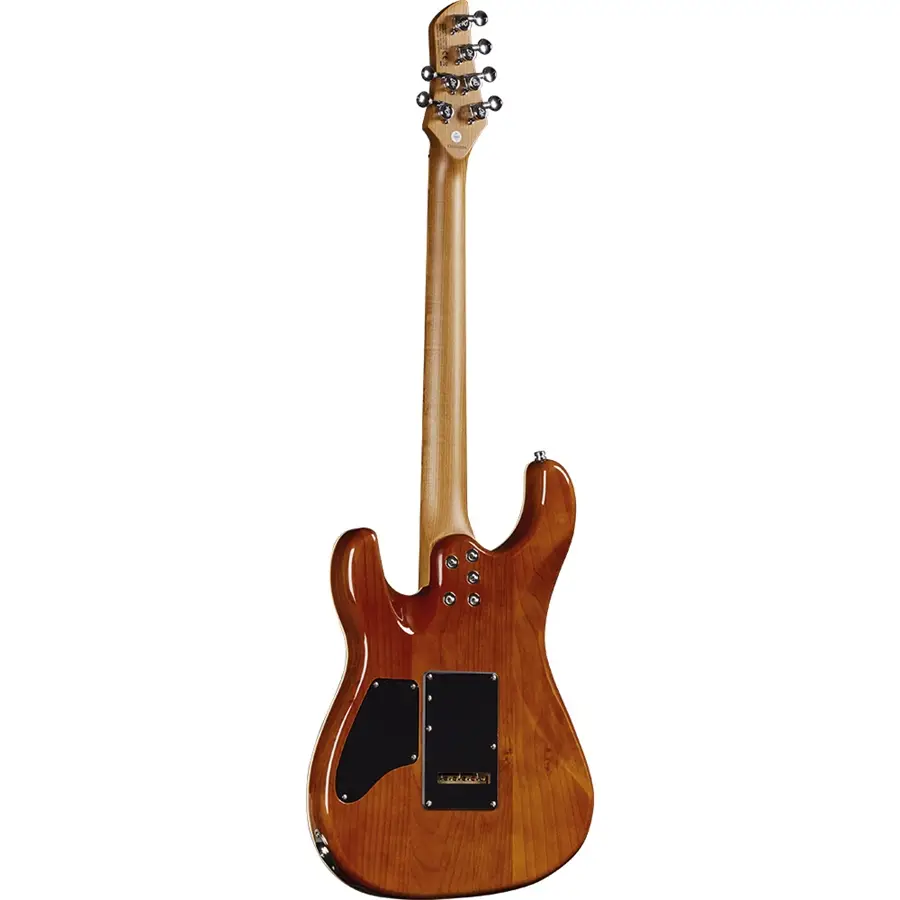 16-eko-guitars-aire-801-musa-grey-flamed-05134069_1