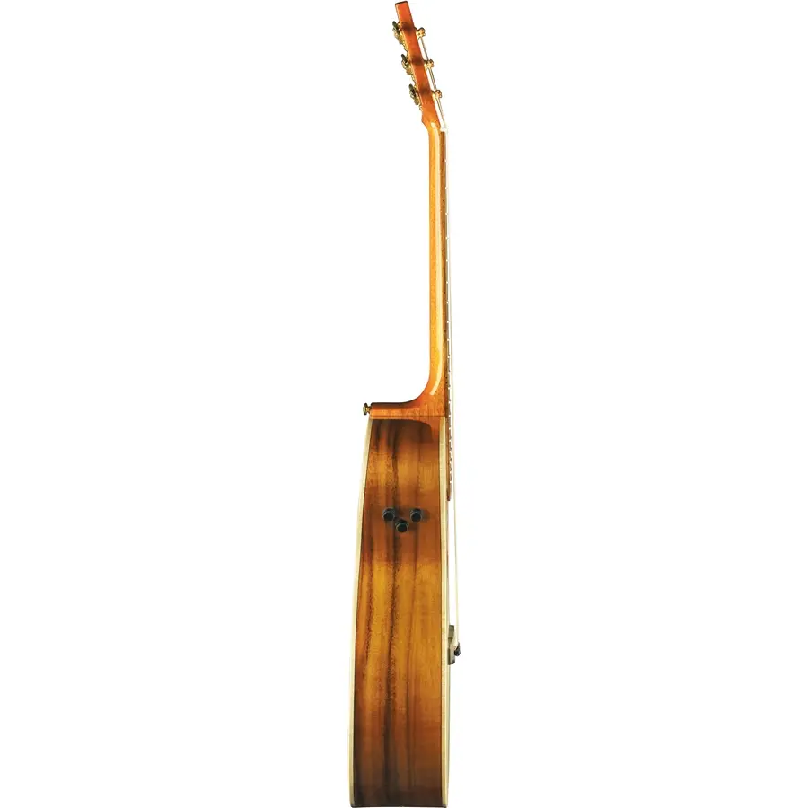 16-eko-guitars-alps-018j-cw-eq-06217243_2