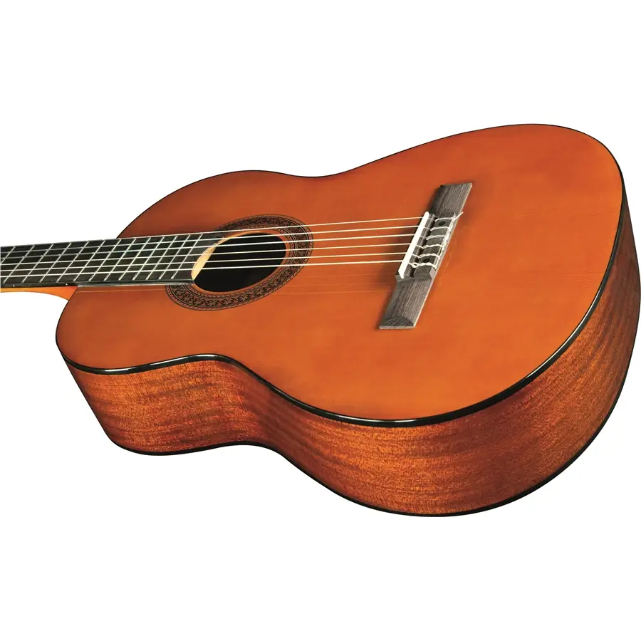 16-eko-guitars-cs-12-06204120_3