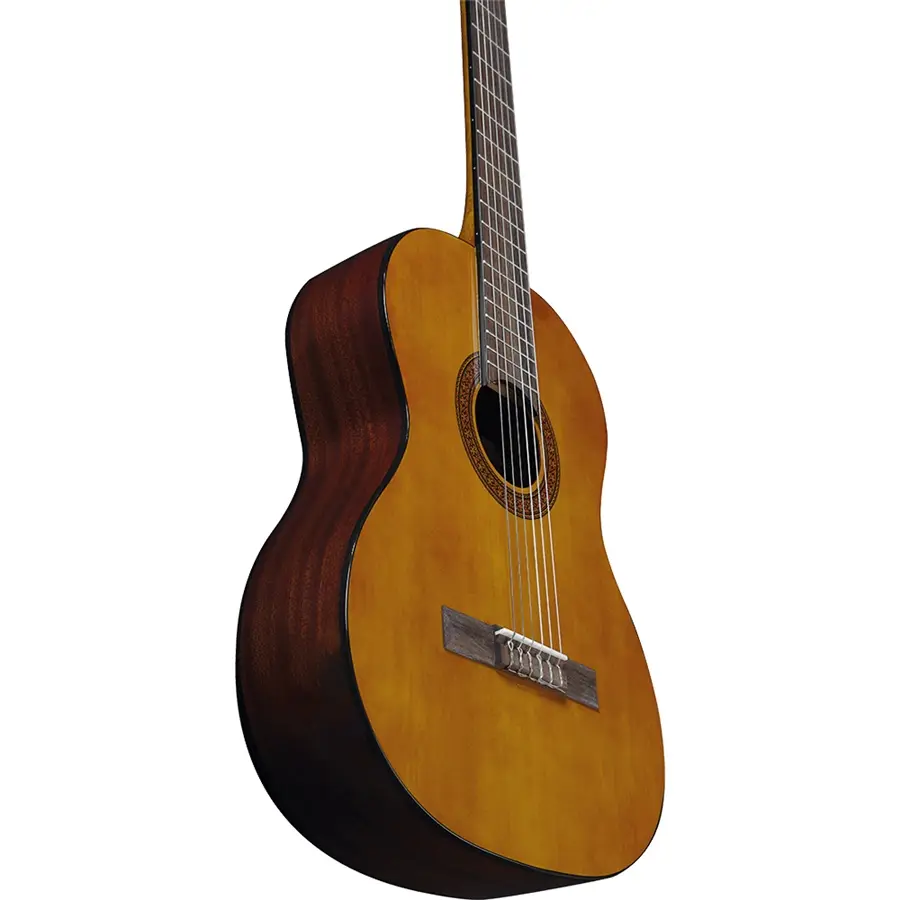 16-eko-guitars-cs-15-06204130_3