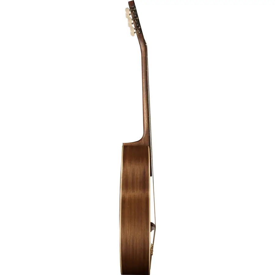 16-eko-guitars-evo-gipsy-natural-06217063_2