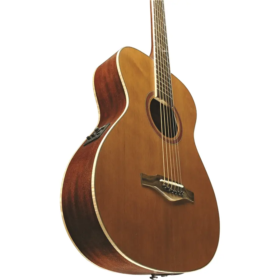 16-eko-guitars-evo-ii-baritone-eq-natural-06217231_6
