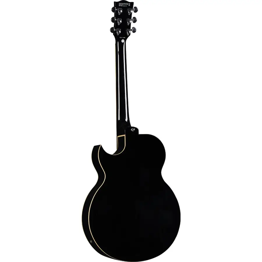 16-eko-guitars-jazz-gold-05134058_1