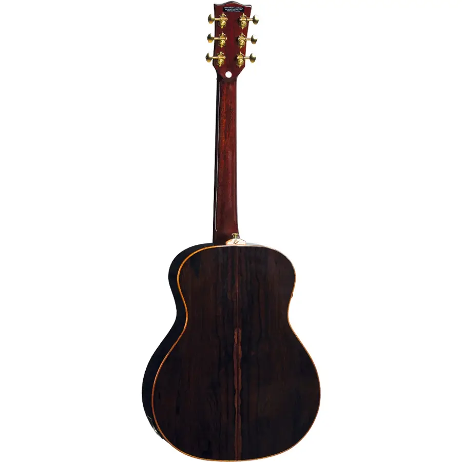 16-eko-guitars-marco-polo-t500e-sz-06217245_1