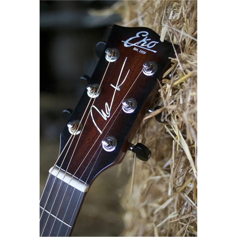 16-eko-guitars-nek-signature-06217088_1
