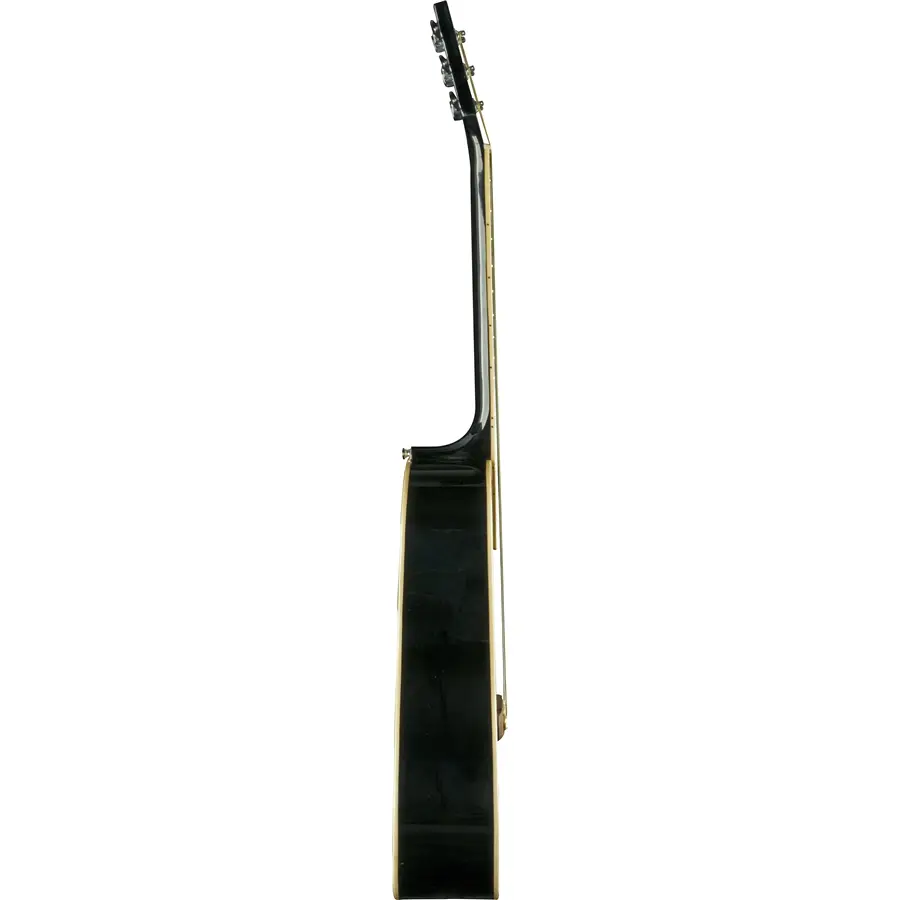 16-eko-guitars-nxt-d-black-06217004_2