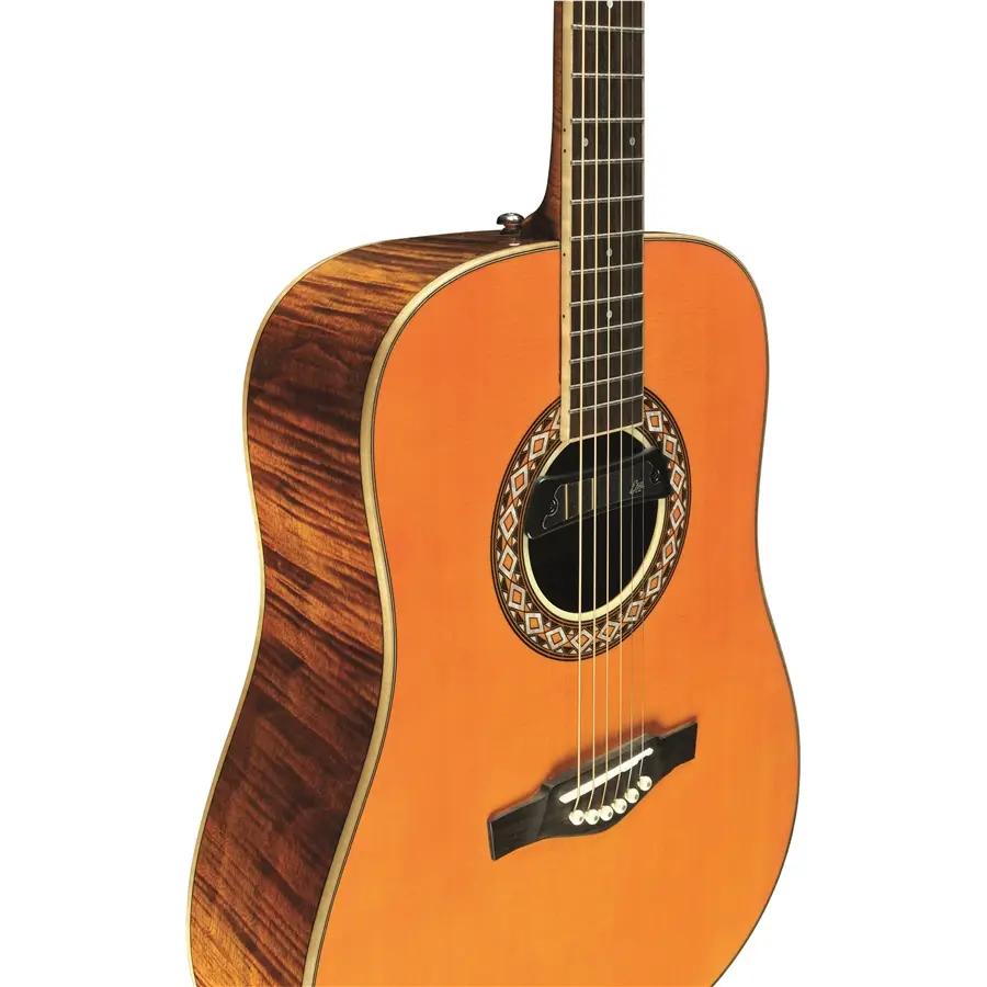 16-eko-guitars-ranger-futura-06216951_2
