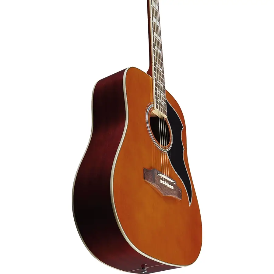 Eko Guitars Ranger VI VR Eq Natural Top Stained Acoustic Guitar