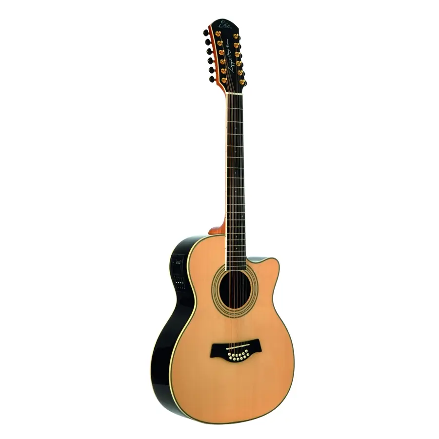 16-eko-guitars-riccardo-zappa-signature-12-corde-06216422_0