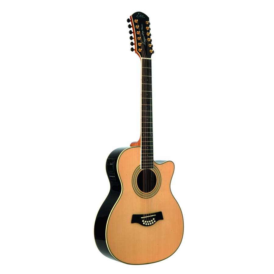 Riccardo Zappa Signature 12 corde