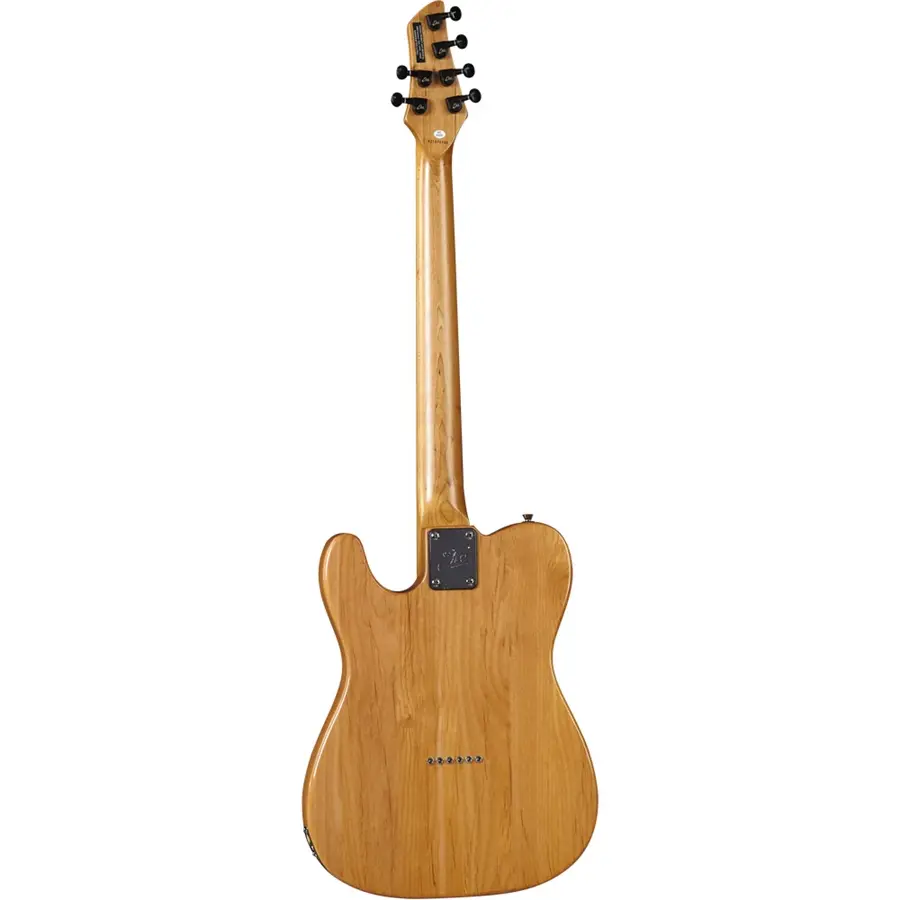 16-eko-guitars-tero-standard-05130246_1