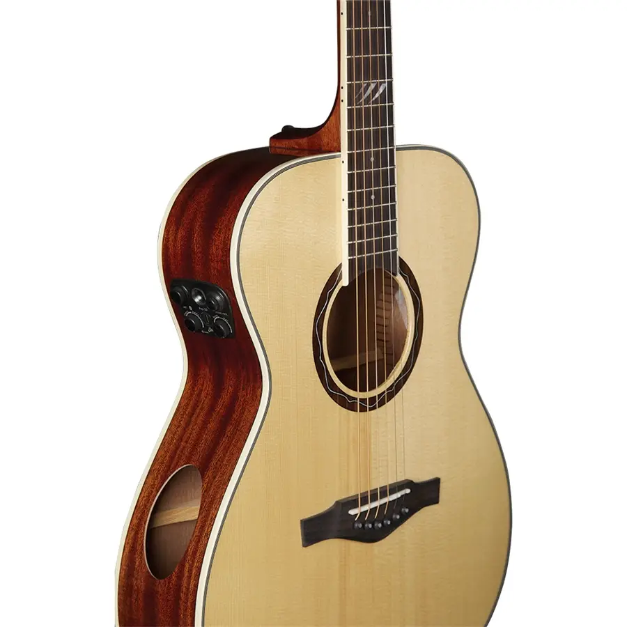 16-eko-guitars-tri-a300e-05134081_2