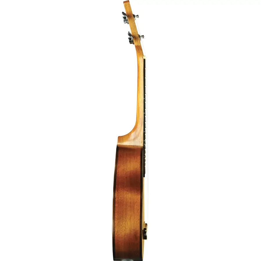16-eko-guitars-uku-evo-ukulele-soprano-06204620_2