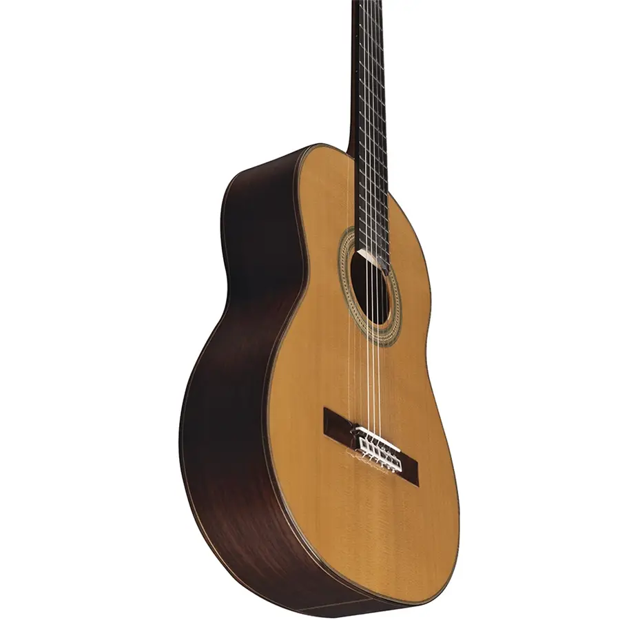 16-eko-guitars-vibra-500-mario-gangi-06204136_3