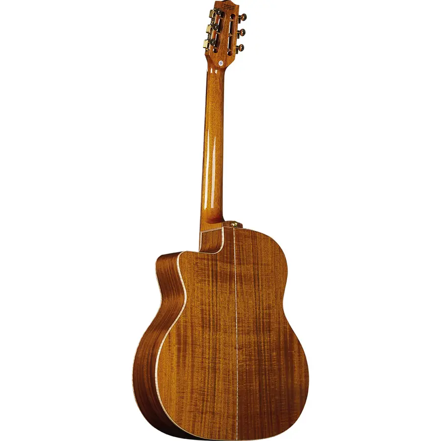 eko-guitars-alps-g450c-gipsy-06217162-1