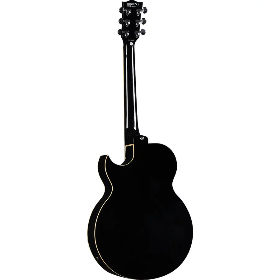 eko-guitars-jazz-gold-05134058-1